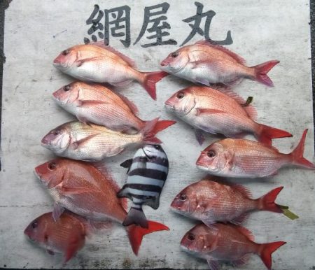 網屋丸 釣果