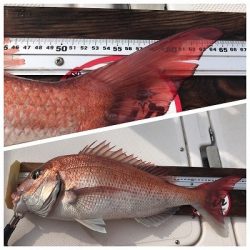 フィシングボートAir(エアー) 釣果