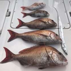 フィシングボートAir(エアー) 釣果