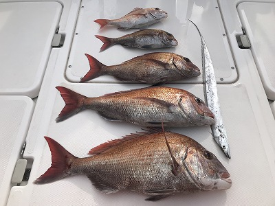 フィシングボートAir(エアー) 釣果