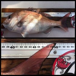 フィシングボートAir(エアー) 釣果