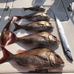 フィシングボートAir(エアー) 釣果