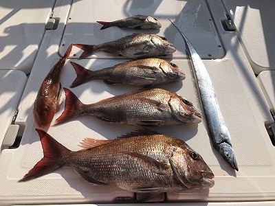 フィシングボートAir(エアー) 釣果