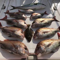 フィシングボートAir(エアー) 釣果