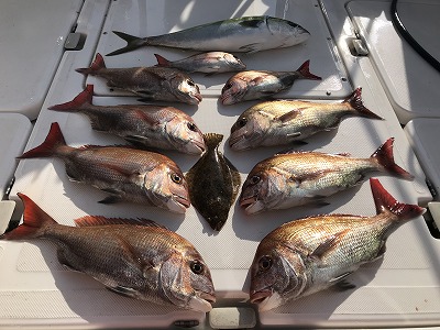 フィシングボートAir(エアー) 釣果