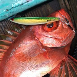 三吉丸 釣果