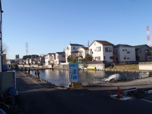 朝霞ガーデン 釣果