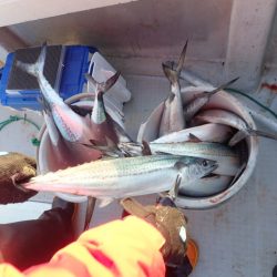 Aquanaut(アクアノート) 釣果