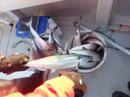 Aquanaut(アクアノート) 釣果