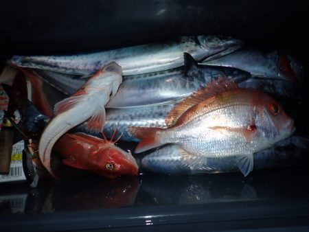 Aquanaut(アクアノート) 釣果