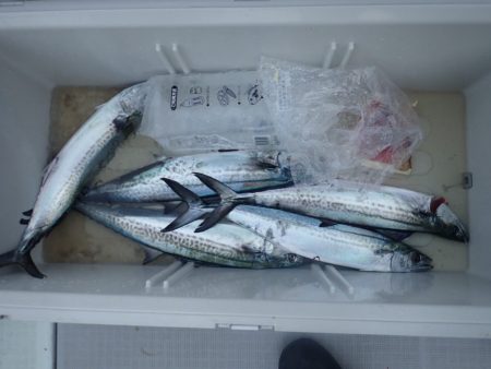 Aquanaut(アクアノート) 釣果