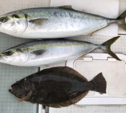 さぶろう丸 釣果