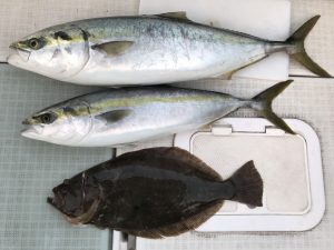 さぶろう丸 釣果
