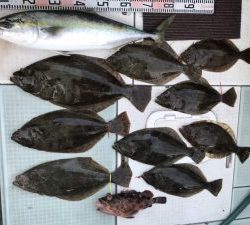 さぶろう丸 釣果