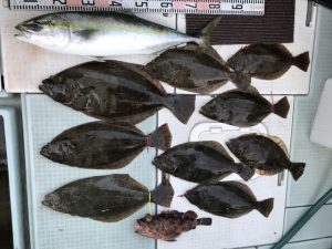 さぶろう丸 釣果