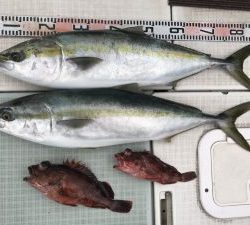 さぶろう丸 釣果