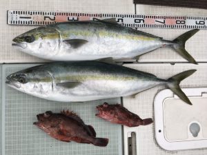 さぶろう丸 釣果