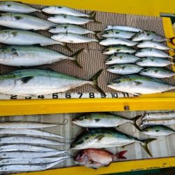 火遠理丸(ほおりまる) 釣果