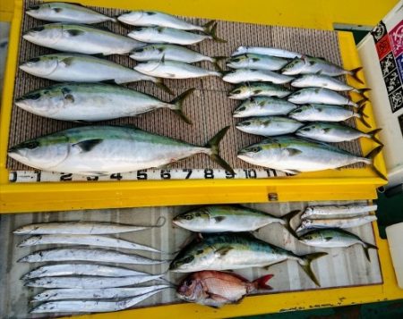 火遠理丸（ほおりまる） 釣果