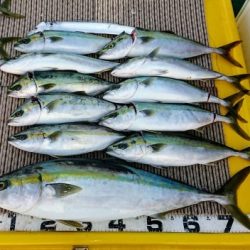 火遠理丸(ほおりまる) 釣果