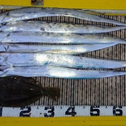 火遠理丸(ほおりまる) 釣果