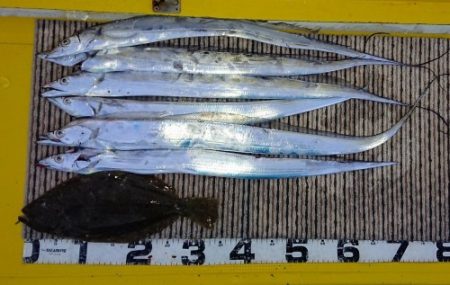 火遠理丸(ほおりまる) 釣果