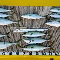 火遠理丸（ほおりまる） 釣果