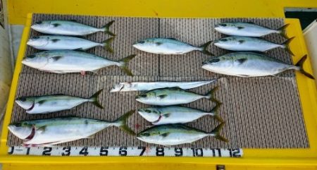 火遠理丸（ほおりまる） 釣果