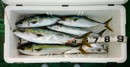 火遠理丸（ほおりまる） 釣果