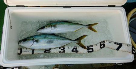 火遠理丸（ほおりまる） 釣果