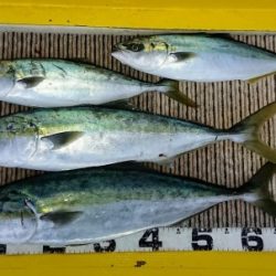 火遠理丸(ほおりまる) 釣果