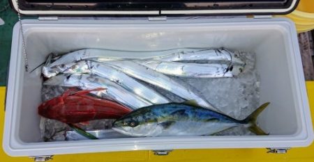 火遠理丸(ほおりまる) 釣果