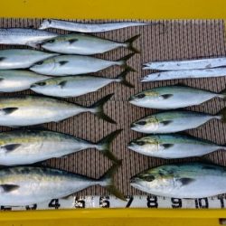 火遠理丸(ほおりまる) 釣果