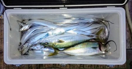 火遠理丸（ほおりまる） 釣果