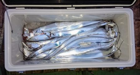 火遠理丸(ほおりまる) 釣果