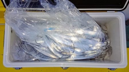 火遠理丸(ほおりまる) 釣果