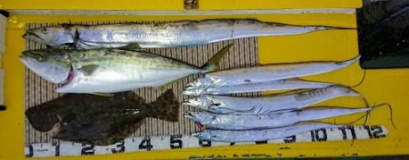 火遠理丸（ほおりまる） 釣果