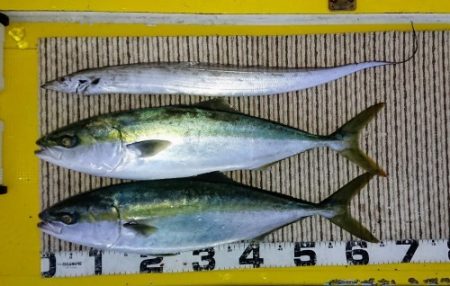 火遠理丸(ほおりまる) 釣果