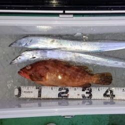 火遠理丸(ほおりまる) 釣果