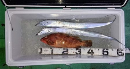 火遠理丸(ほおりまる) 釣果