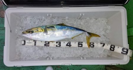 火遠理丸(ほおりまる) 釣果