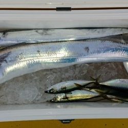 火遠理丸(ほおりまる) 釣果