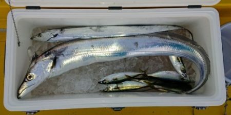 火遠理丸(ほおりまる) 釣果