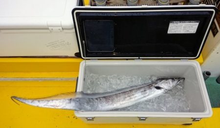 火遠理丸(ほおりまる) 釣果