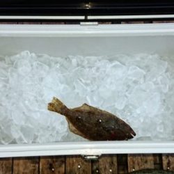 火遠理丸(ほおりまる) 釣果