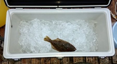 火遠理丸(ほおりまる) 釣果