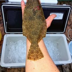 火遠理丸(ほおりまる) 釣果