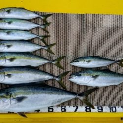 火遠理丸(ほおりまる) 釣果