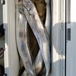 遊漁船 ニライカナイ 釣果