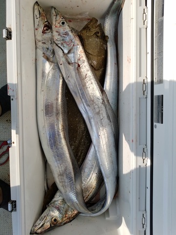 遊漁船 ニライカナイ 釣果